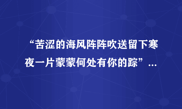 “苦涩的海风阵阵吹送留下寒夜一片蒙蒙何处有你的踪”这句歌词出自什么歌？