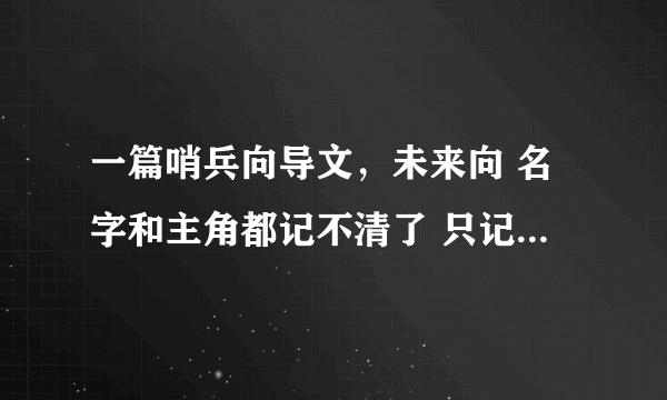 一篇哨兵向导文，未来向 名字和主角都记不清了 只记得大概剧情