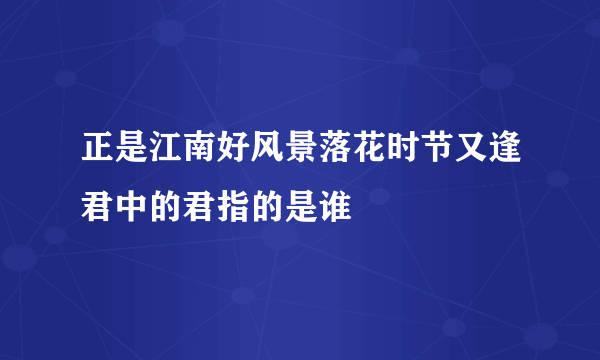 正是江南好风景落花时节又逢君中的君指的是谁