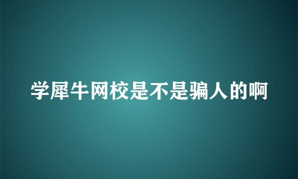 学犀牛网校是不是骗人的啊