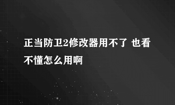 正当防卫2修改器用不了 也看不懂怎么用啊