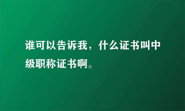 谁可以告诉我，什么证书叫中级职称证书啊。