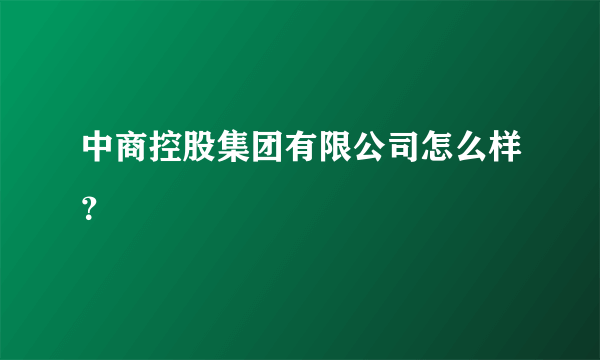 中商控股集团有限公司怎么样？