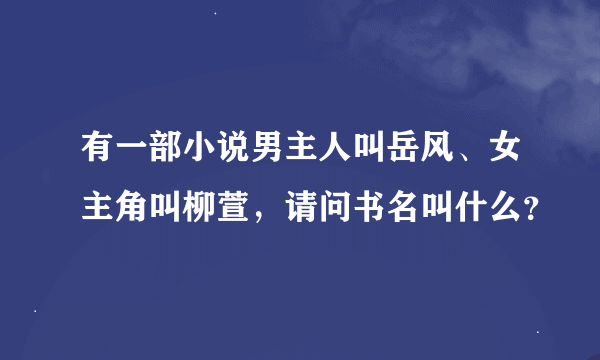 有一部小说男主人叫岳风、女主角叫柳萱，请问书名叫什么？