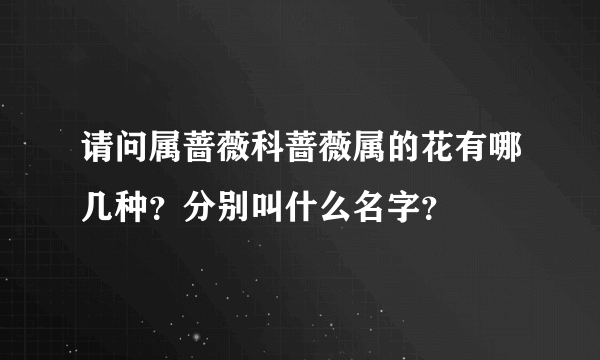 请问属蔷薇科蔷薇属的花有哪几种？分别叫什么名字？