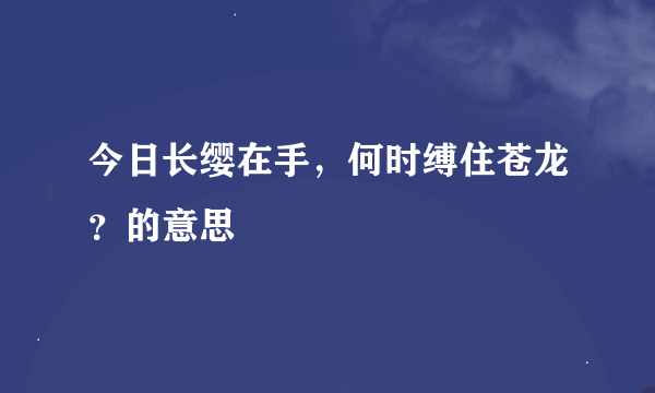 今日长缨在手，何时缚住苍龙？的意思