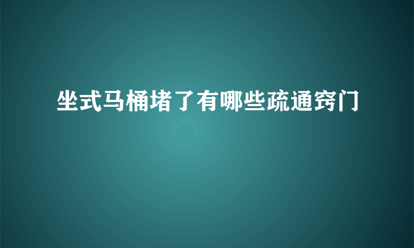 坐式马桶堵了有哪些疏通窍门