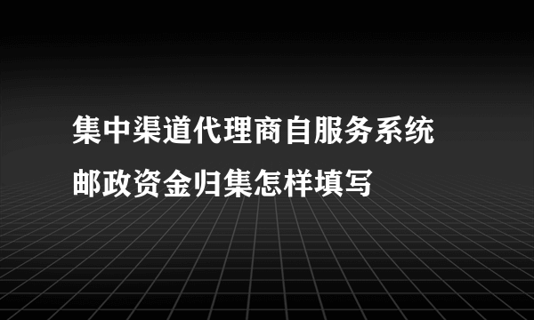 集中渠道代理商自服务系统 邮政资金归集怎样填写