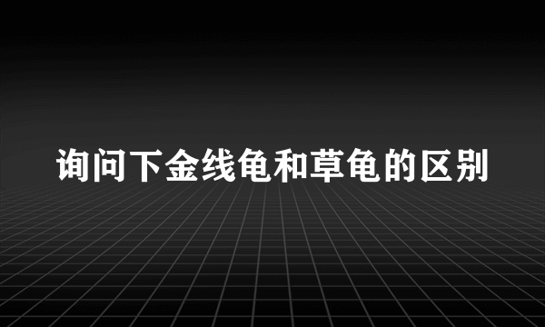 询问下金线龟和草龟的区别