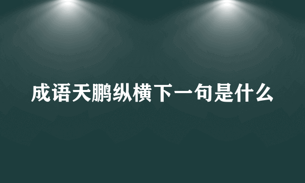 成语天鹏纵横下一句是什么