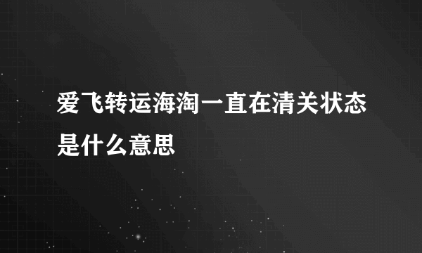 爱飞转运海淘一直在清关状态是什么意思