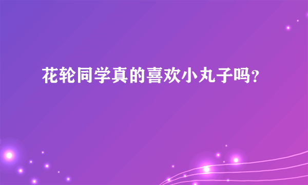 花轮同学真的喜欢小丸子吗？