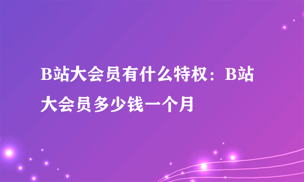 B站大会员有什么特权：B站大会员多少钱一个月