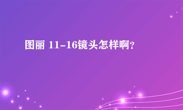 图丽 11-16镜头怎样啊？