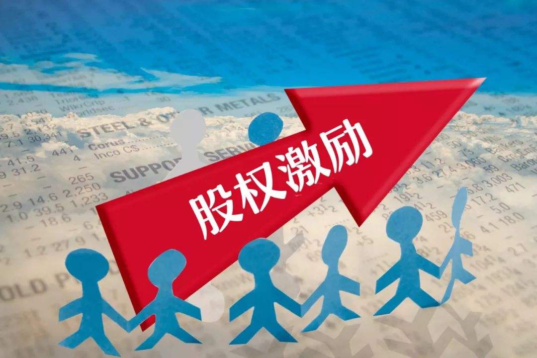 求小公司股权激励方案