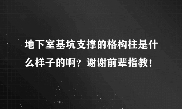 地下室基坑支撑的格构柱是什么样子的啊？谢谢前辈指教！