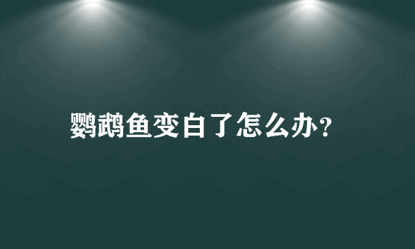 鹦鹉鱼变白了怎么办？