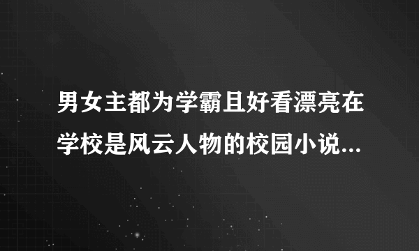 男女主都为学霸且好看漂亮在学校是风云人物的校园小说温馨无虐