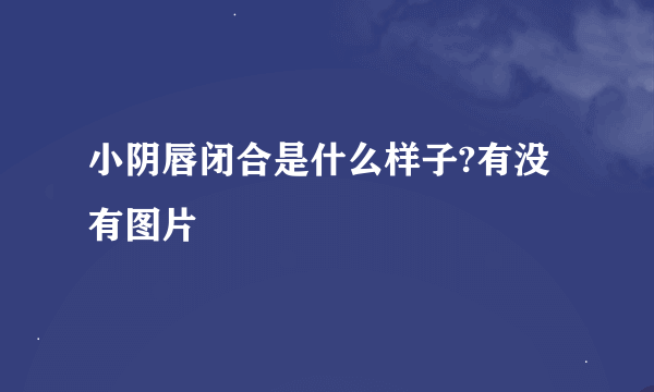 小阴唇闭合是什么样子?有没有图片