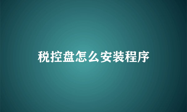 税控盘怎么安装程序