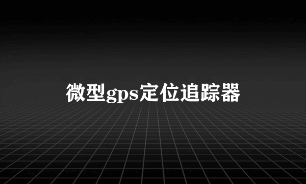 微型gps定位追踪器