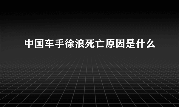 中国车手徐浪死亡原因是什么