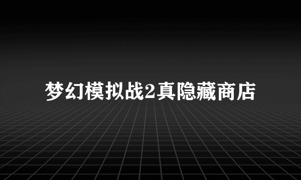 梦幻模拟战2真隐藏商店