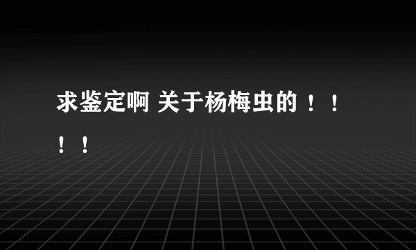 求鉴定啊 关于杨梅虫的 ！！！！