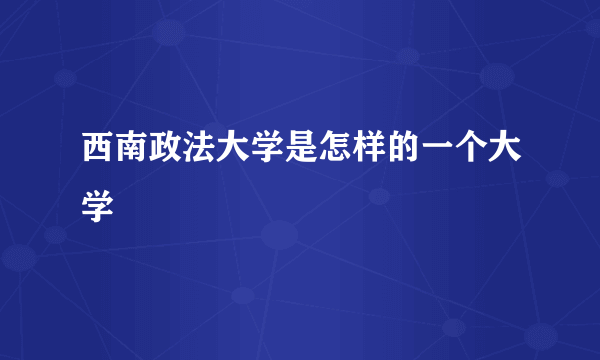 西南政法大学是怎样的一个大学