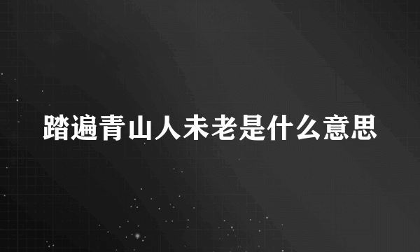 踏遍青山人未老是什么意思