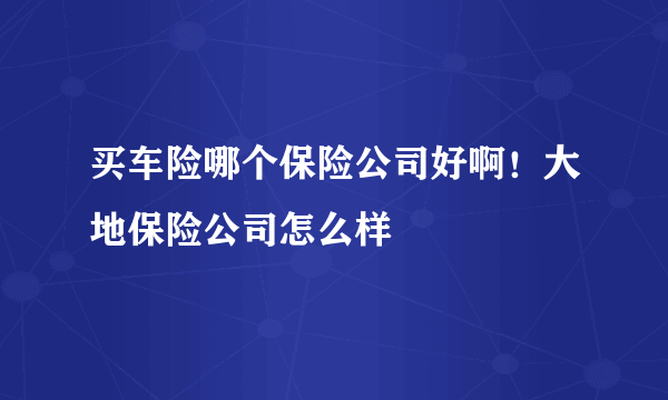 买车险哪个保险公司好啊！大地保险公司怎么样