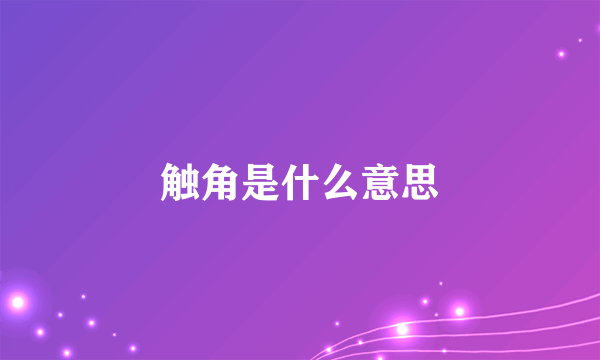 触角是什么意思