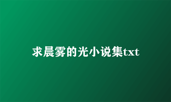 求晨雾的光小说集txt