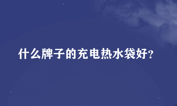 什么牌子的充电热水袋好？