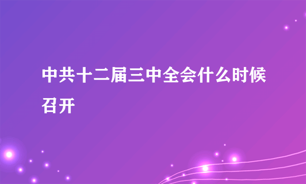 中共十二届三中全会什么时候召开