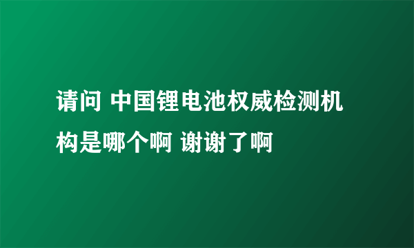 请问 中国锂电池权威检测机构是哪个啊 谢谢了啊