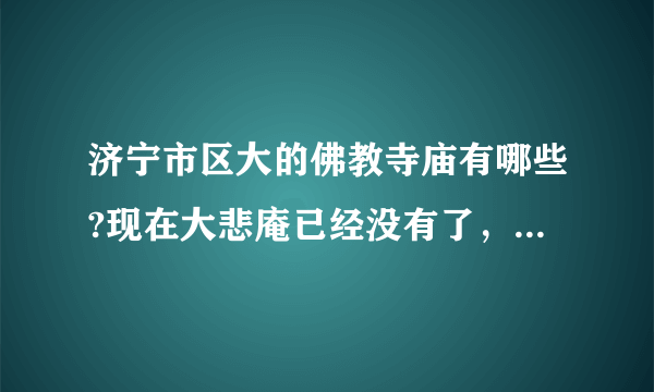 济宁市区大的佛教寺庙有哪些?现在大悲庵已经没有了，还有什么地方。