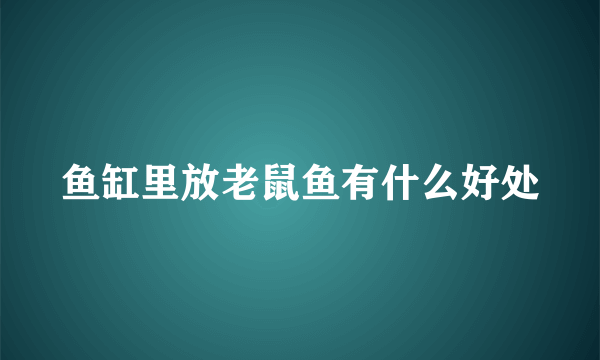 鱼缸里放老鼠鱼有什么好处