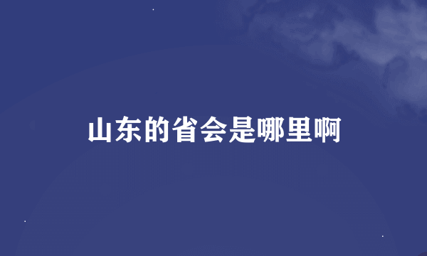 山东的省会是哪里啊