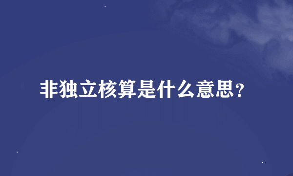 非独立核算是什么意思？