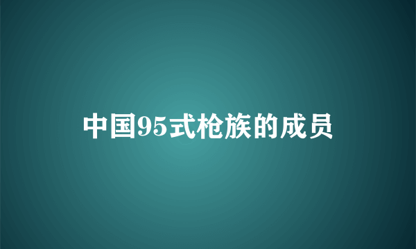 中国95式枪族的成员