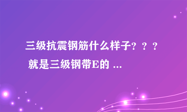 三级抗震钢筋什么样子？？？ 就是三级钢带E的 ...