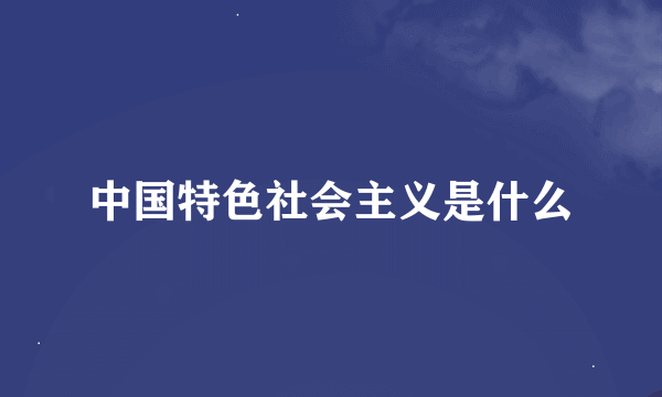 中国特色社会主义是什么