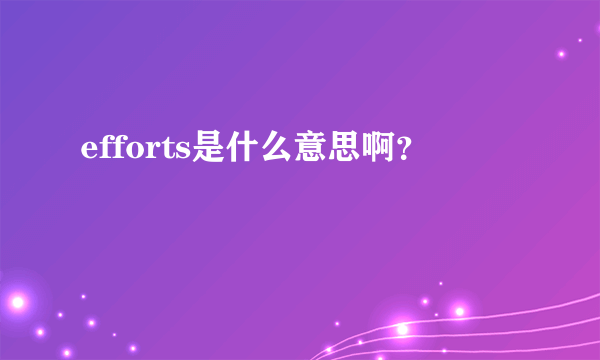 efforts是什么意思啊？