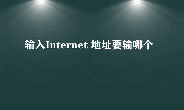 输入Internet 地址要输哪个