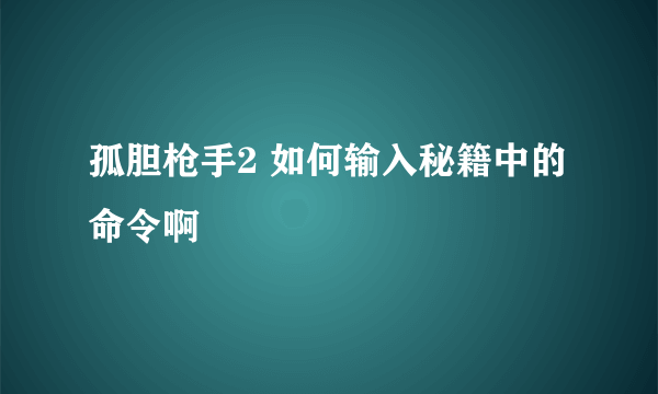 孤胆枪手2 如何输入秘籍中的命令啊