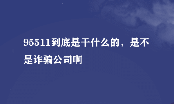 95511到底是干什么的，是不是诈骗公司啊