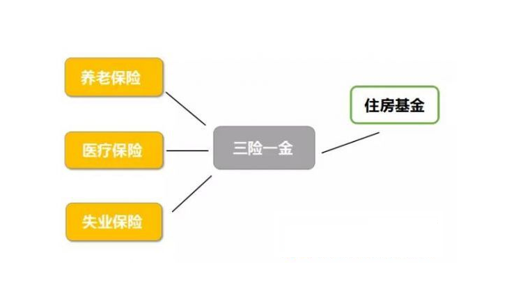 三险一金缴纳比例具体是多少