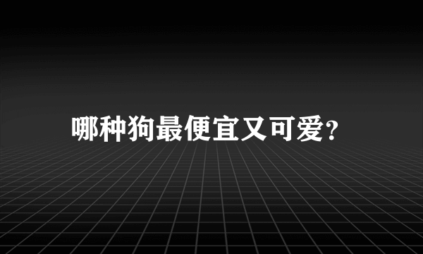 哪种狗最便宜又可爱？