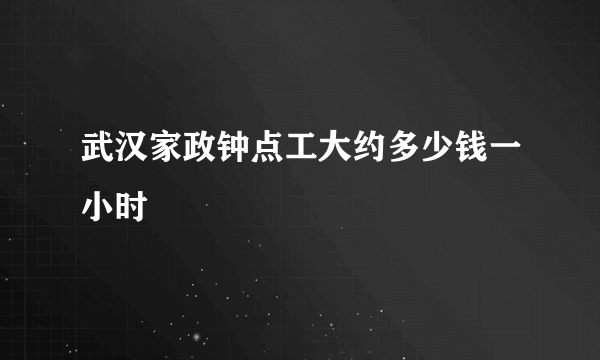 武汉家政钟点工大约多少钱一小时